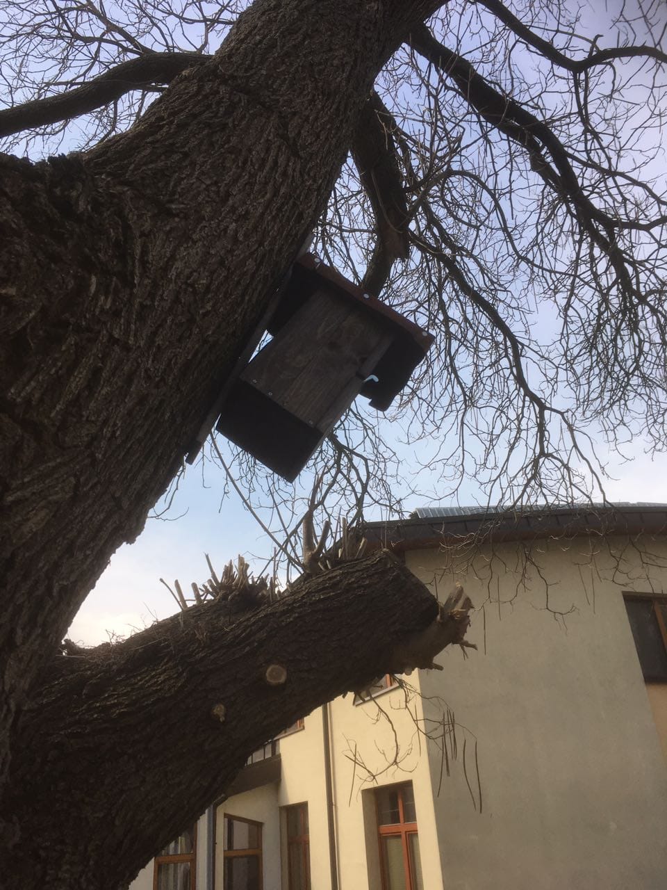 IMG-20190325-WA0009