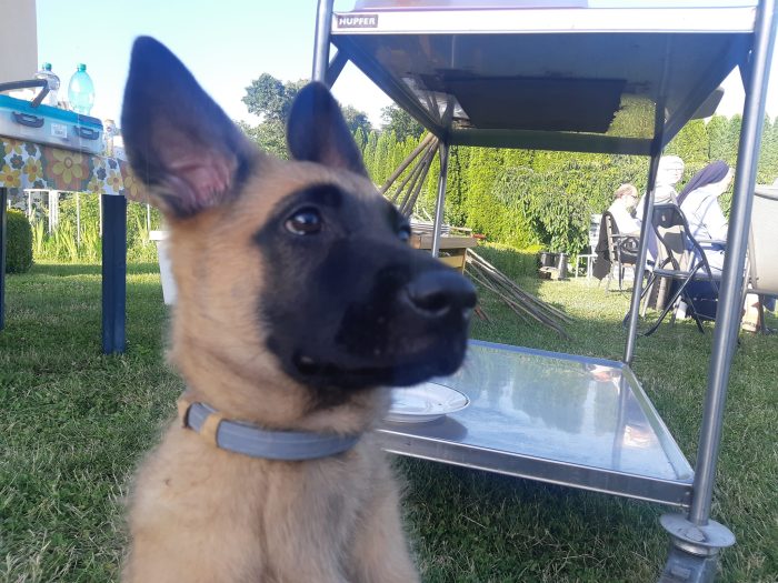 289270712_611205750437621_3265711595331863451_n